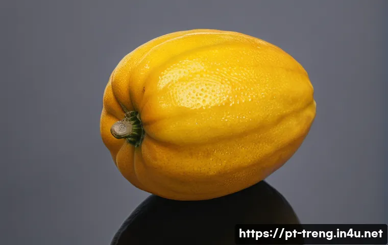 무역영어 자격증과 국제 무역법 활용 관련 이미지 1