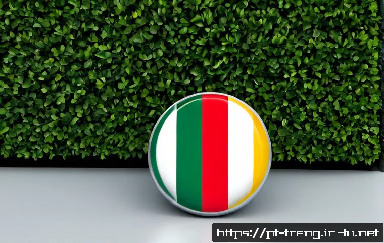 Plano de Inglês para Comércio Exterior: metas de curto e longo prazo e como escolher o melhor curso 4 무역영어 학습의 단기 및 장기 계획 관련 이미지 2